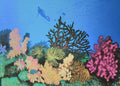 Underwater Coral Reef Canvas Wall Art — Scuba Diver Ocean Print